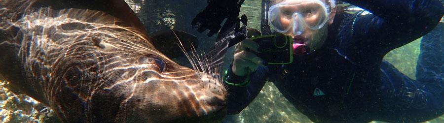 La Paz Baja California Catamaran Snorkeling Tour 8