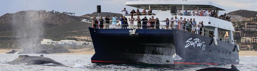 Sunrider Cabo Sunset Cruise 1