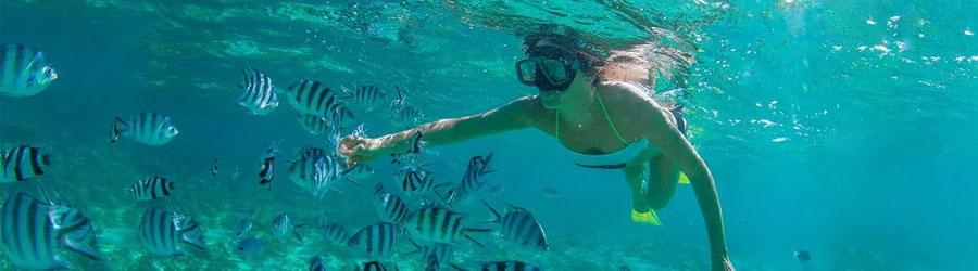 Cabo Snorkeling & Catamaran Sailing Excursion 5