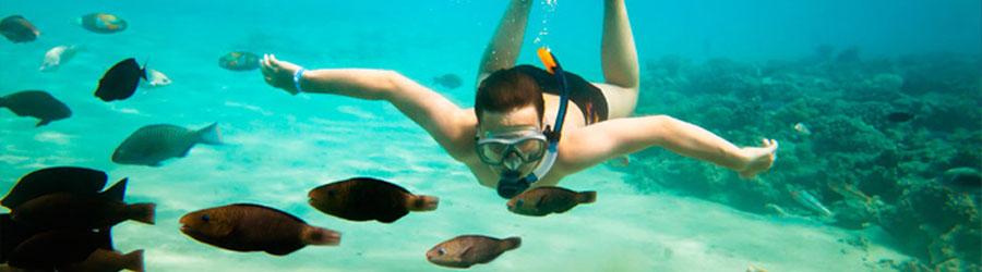 Cabo Snorkeling & Catamaran Sailing Excursion 7