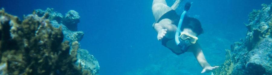 Cabo Snorkeling & Catamaran Sailing Excursion 8