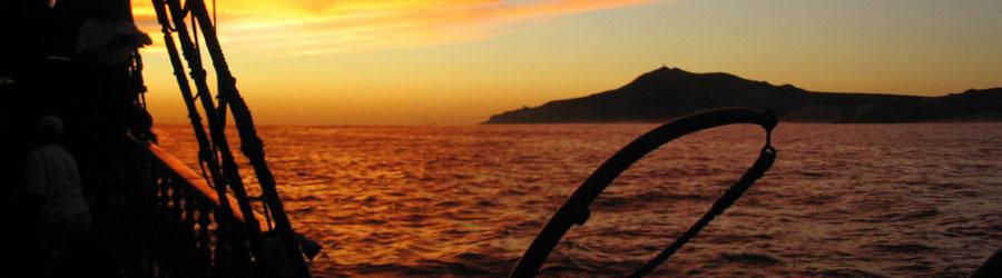 Cabo Party Fun Cruise to The Arch and Lands End at Sunset 6