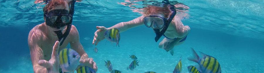 Luxury Cabo Sailing & Snorkeling Tour 2