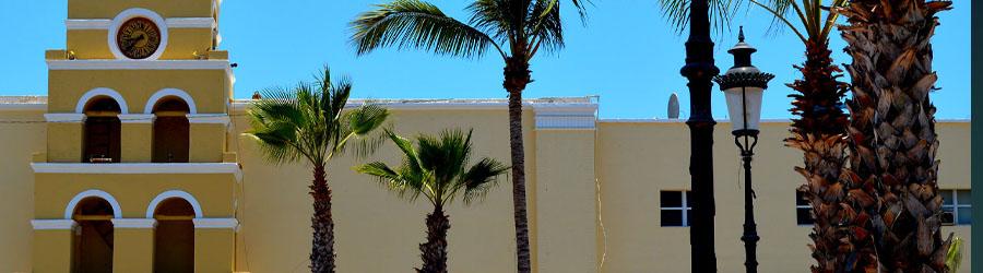 Private Todos Santos Tour 6