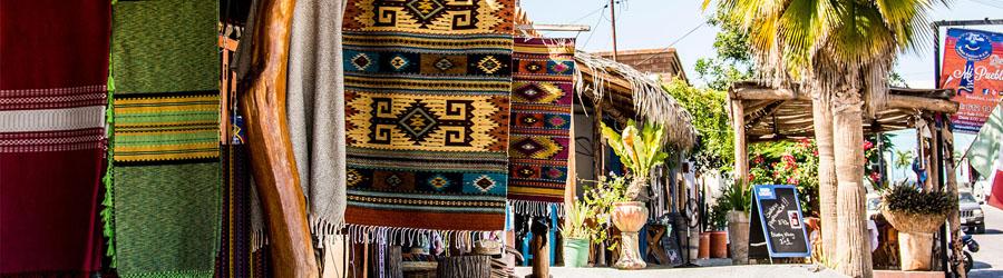 Todos Santos Baja Sightseeing and Cultural Tour 4