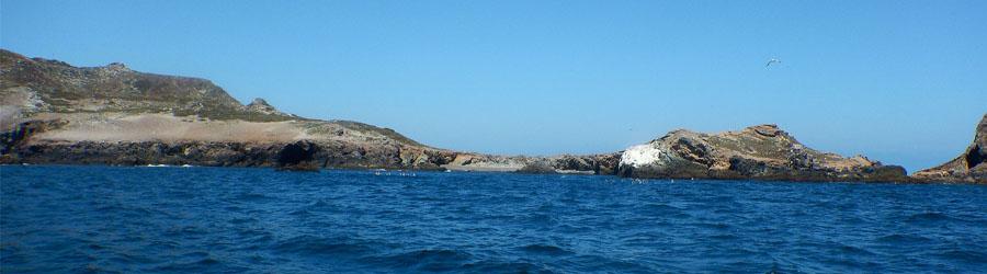 Todos Santos Baja Sightseeing and Cultural Tour 6