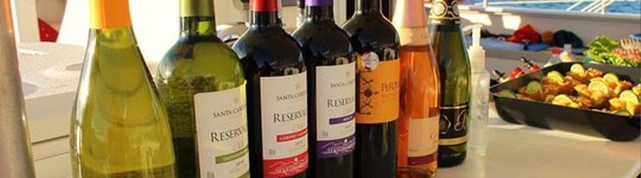 Jazz & Wine Cabo Sunset Cruise 7