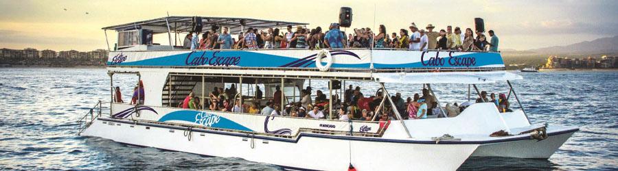 Cabo Escape Whale Watching Los Cabos 1