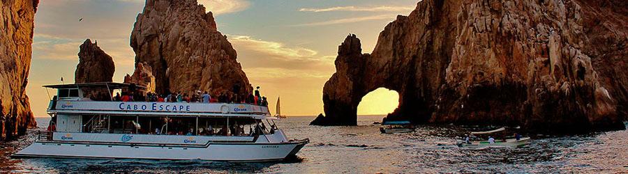 Cabo Escape Whale Watching Los Cabos 4
