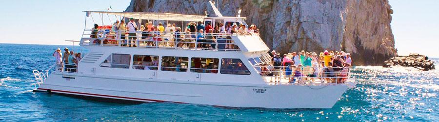 Cabo Escape Whale Watching Los Cabos 7