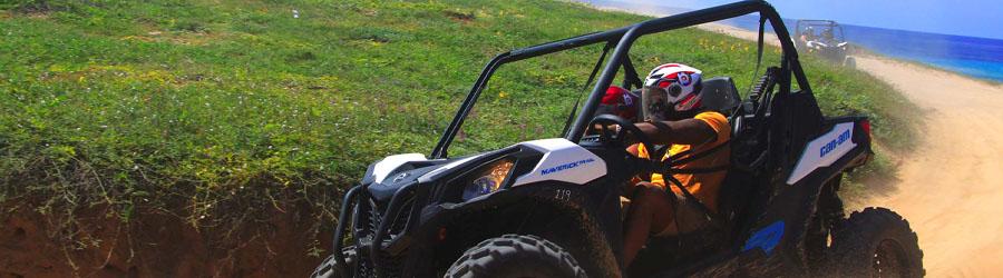 Wild Desert RZR Adventure 4