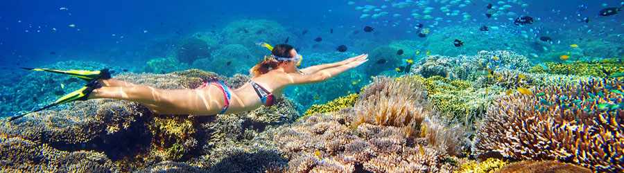 3-Reef Glass Bottom Boat Snorkeling Tour 2