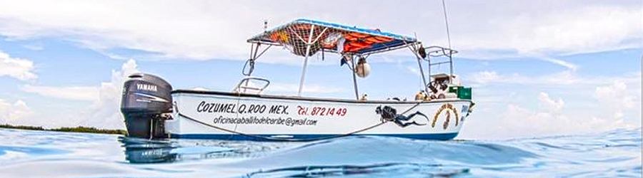 3-Reef Glass Bottom Boat Snorkeling Tour 5