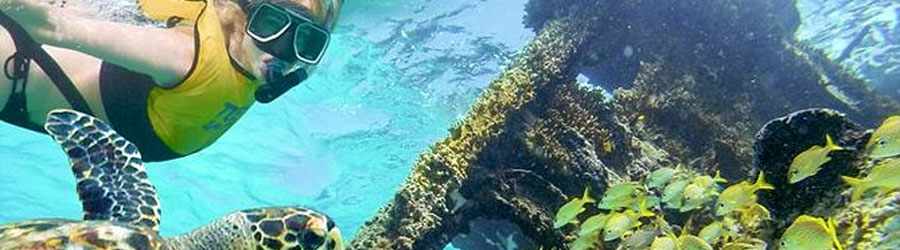 3-Reef Glass Bottom Boat Snorkeling Tour 7