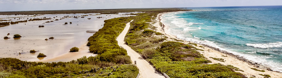 Cozumel Bike Adventure to Punta Sur 3