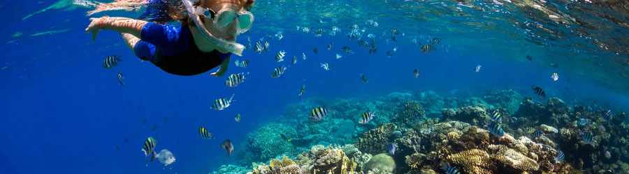 PADI Advanced Open Water Certification 8