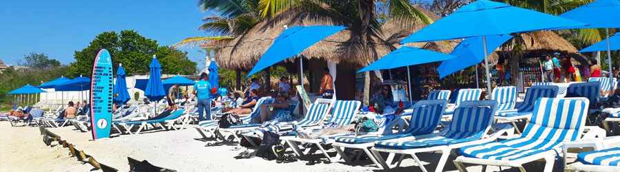 Cozumel Jungle & Beach ATV Tour 8