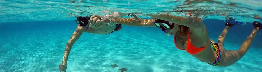 >Ultimate Cozumel Snorkeling & Beach Break 3
