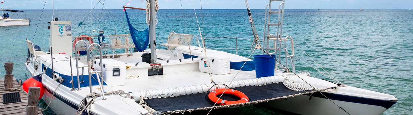 Cozumel Catamaran Express Snorkel + Tortuga Beach Club 6