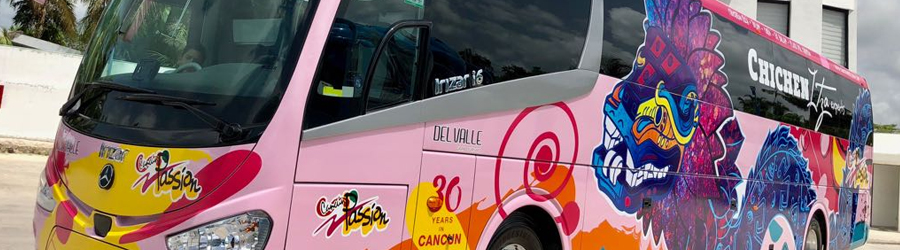 Cozumel Chichen Itza Deluxe Tour 3