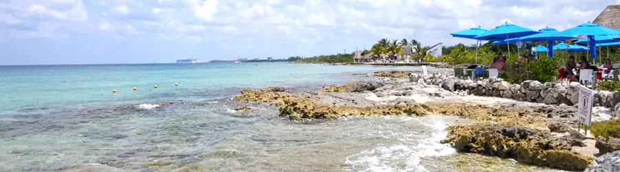 Chocolate Workshop + Snorkeling at Sky Reef Beach Club 3