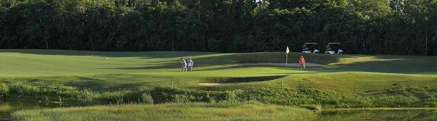 Cozumel Dolphin Encounter 2