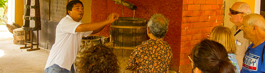 Cozumel Highlights Sightseeing Tour 1