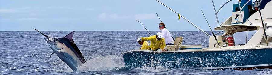 Cozumel Deep Sea Fishing 2