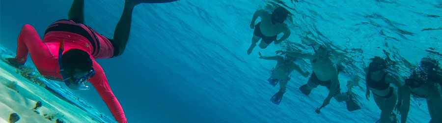 Deluxe Cozumel Catamaran Tour to Snorkel Paradise Reef 5