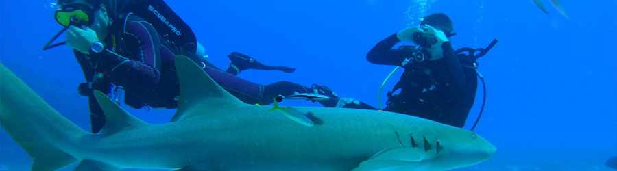 Discover Scuba Diving Cozumel 5