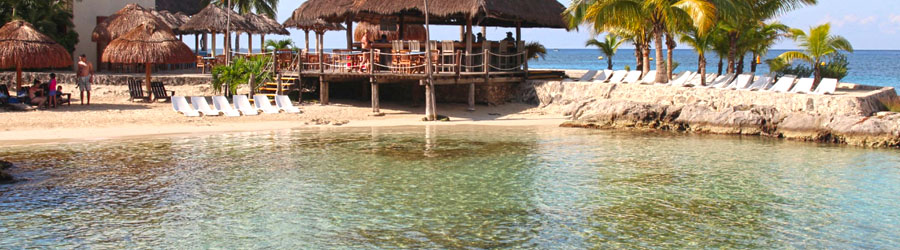 Cozumel Dolphin Encounter 2