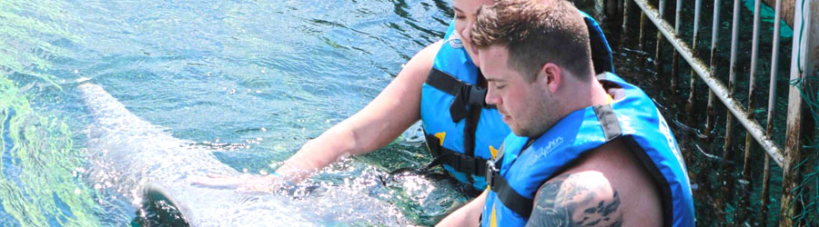 Cozumel Dolphin Encounter 5