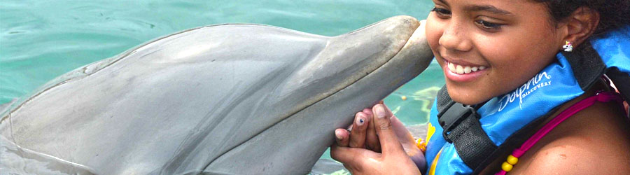 Cozumel Dolphin Encounter 6