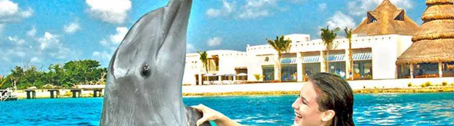 Cozumel Dolphin Swim Adventure 2