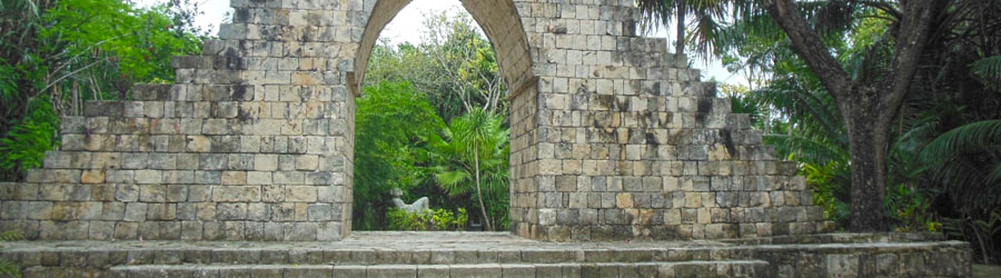 Cozumel Dolphin Swim Adventure 4