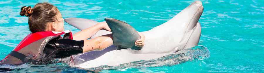 Cozumel Dolphin Swim Adventure 6