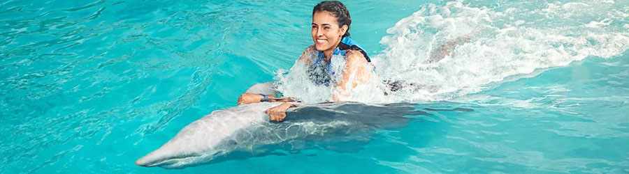 Cozumel Dolphin Swim Adventure 7