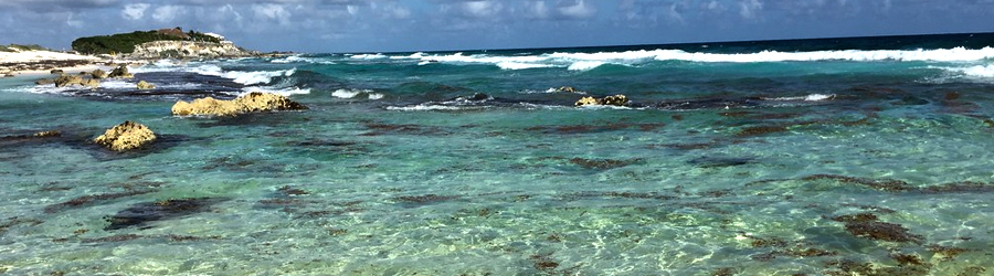 Cozumel Dune Buggy Adventure 4