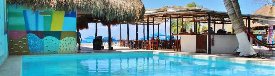 Las Uvas & Discover Mexico Combo 5