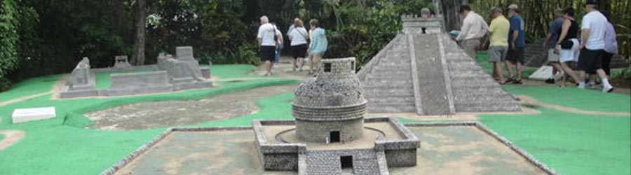 Las Uvas & Discover Mexico Combo 8