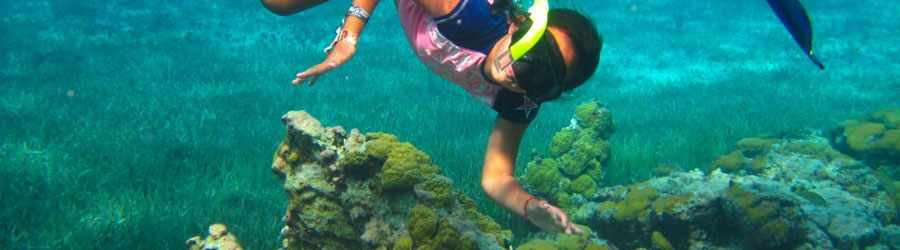 Cozumel 3 Reef Snorkel Express & Beach Break 1