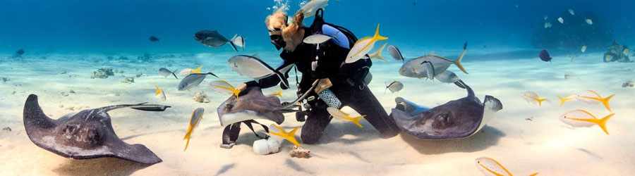 Cozumel Scuba Diving (2-Tank) 6