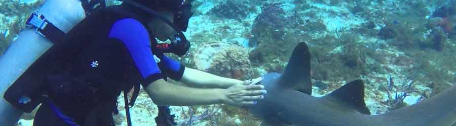 Cozumel Scuba Diving (2-Tank) 8