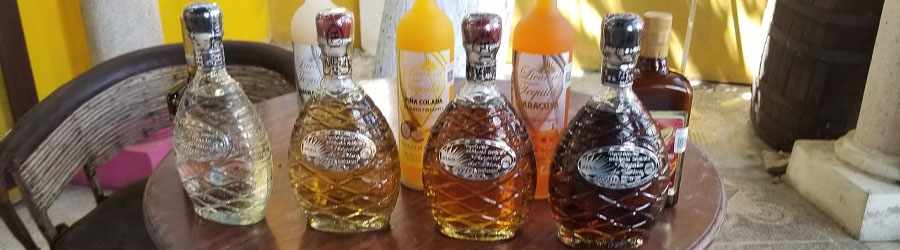 Flavors of Mexico Cacao & Tequila Workshop 5