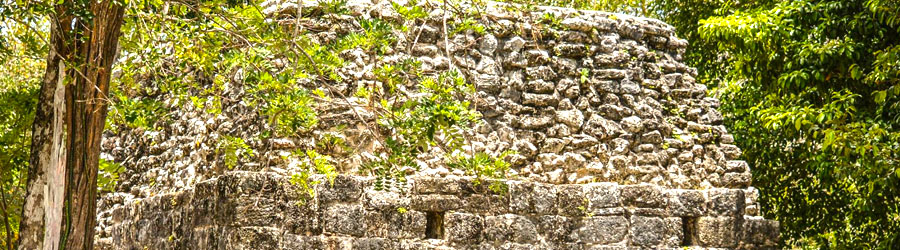 Cozumel Self-Drive Private Jeep Shore Excursion 5