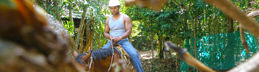 Jungle Trails Horseback Riding in Cozumel 5