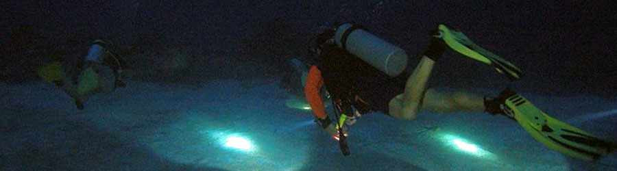 Cozumel Night Dive 1