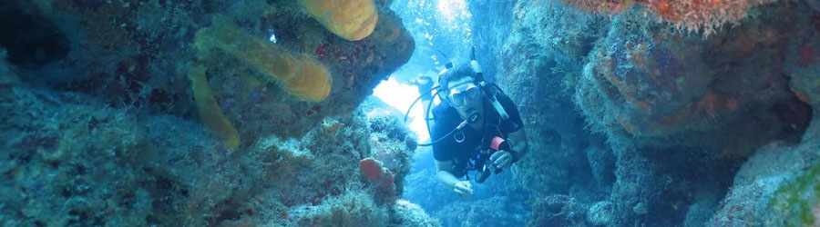 Cozumel Night Dive 5