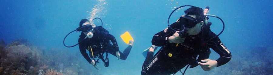 PADI Open Water Certification 1