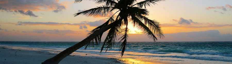 Cozumel SUP by Sunset 4